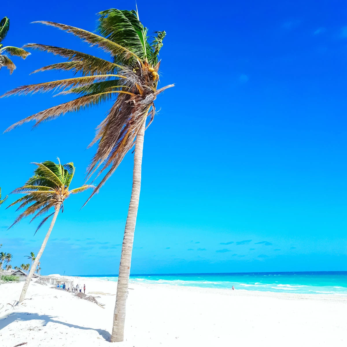 White sand beach in Cuba