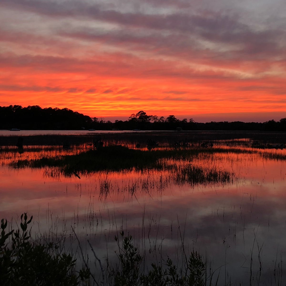 Wilmington Island, GA at sunset