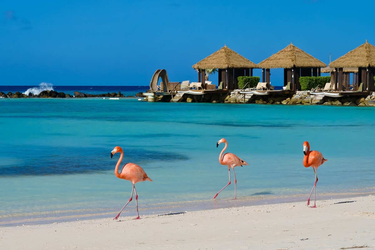 4 Of The Safest Caribbean Islands To Visit This Summer