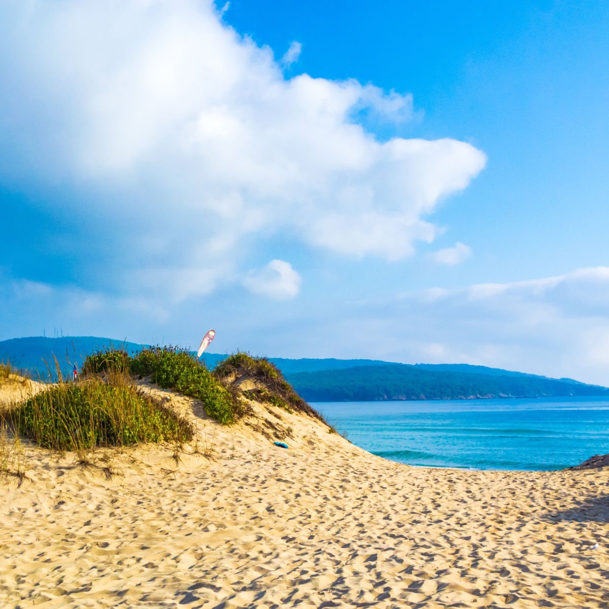 Beach sand dunes - Primorsko, Bulgaria