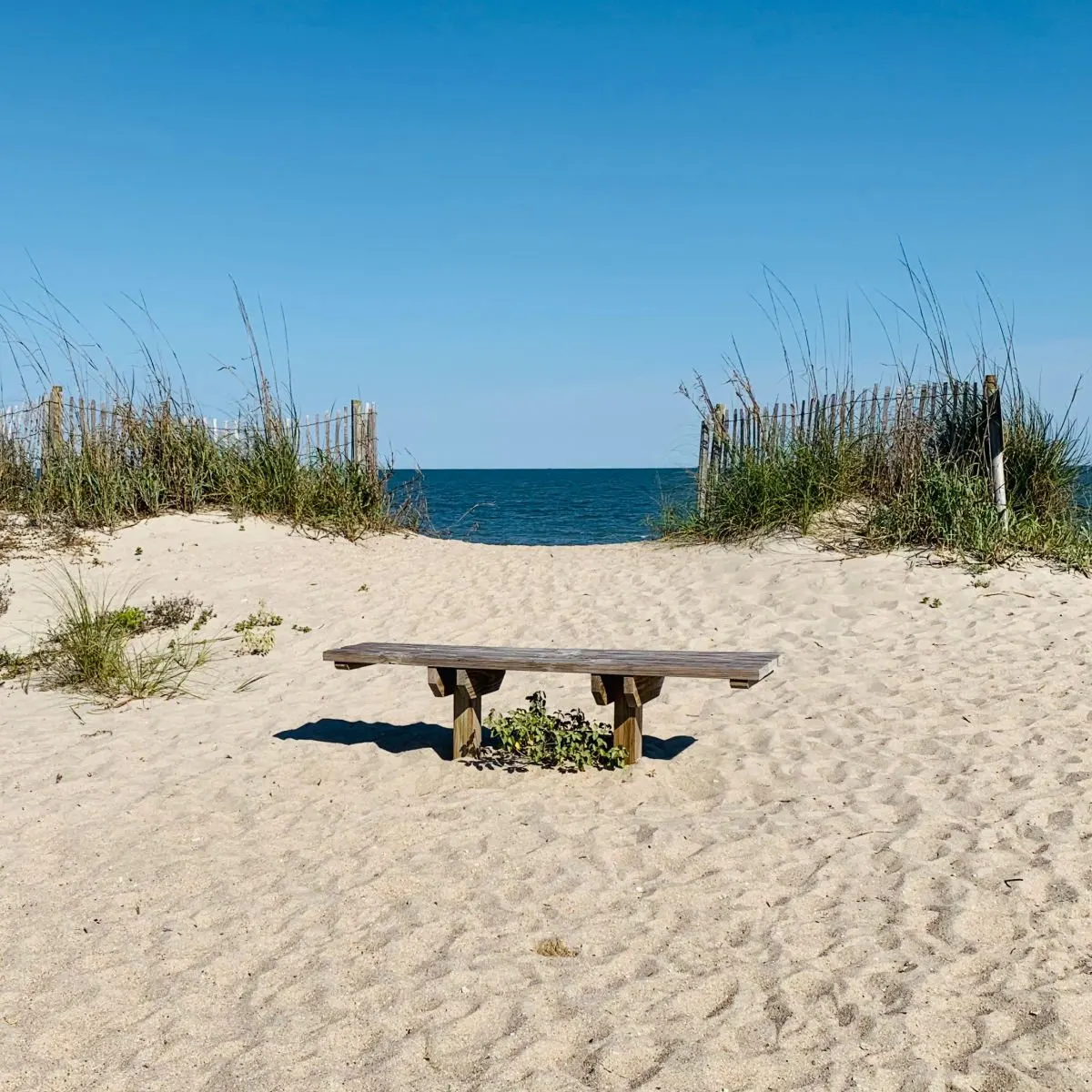 Bench on beach in Edisto Island, SC