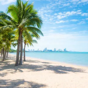 Coconut trees on beach in Pattaya, Thailand