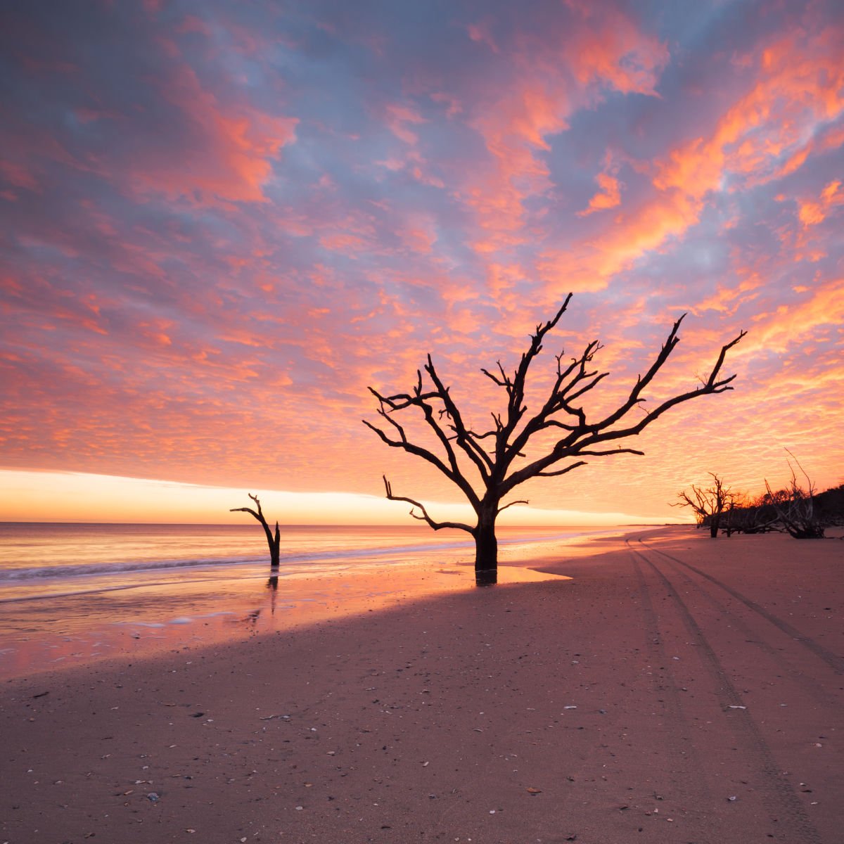Move Over Charleston! Discover Nearby Island's Charming Beach Escape Colorful sky over Edisto Island beach