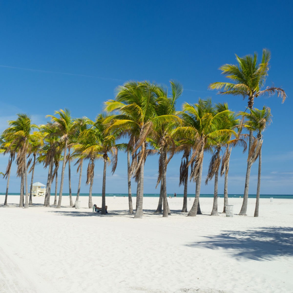 Crayton Park Beach in Key Biscayne, FL