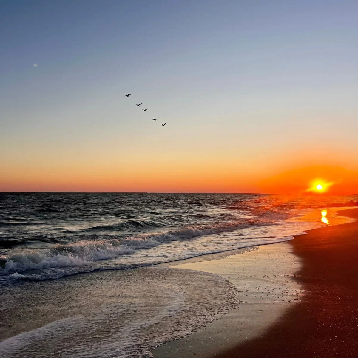 Edisto Beach sunset