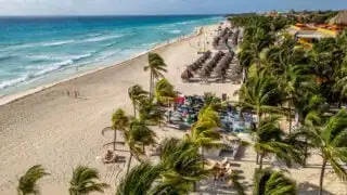 Palm trees lining Playa del Carmen beach