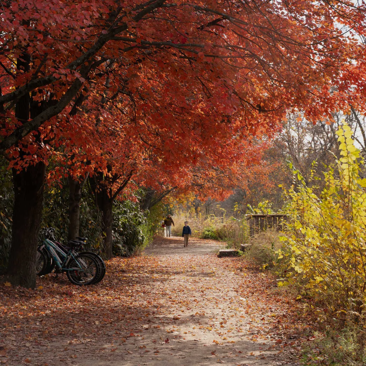 Fall foliage in Lambertville, NJ