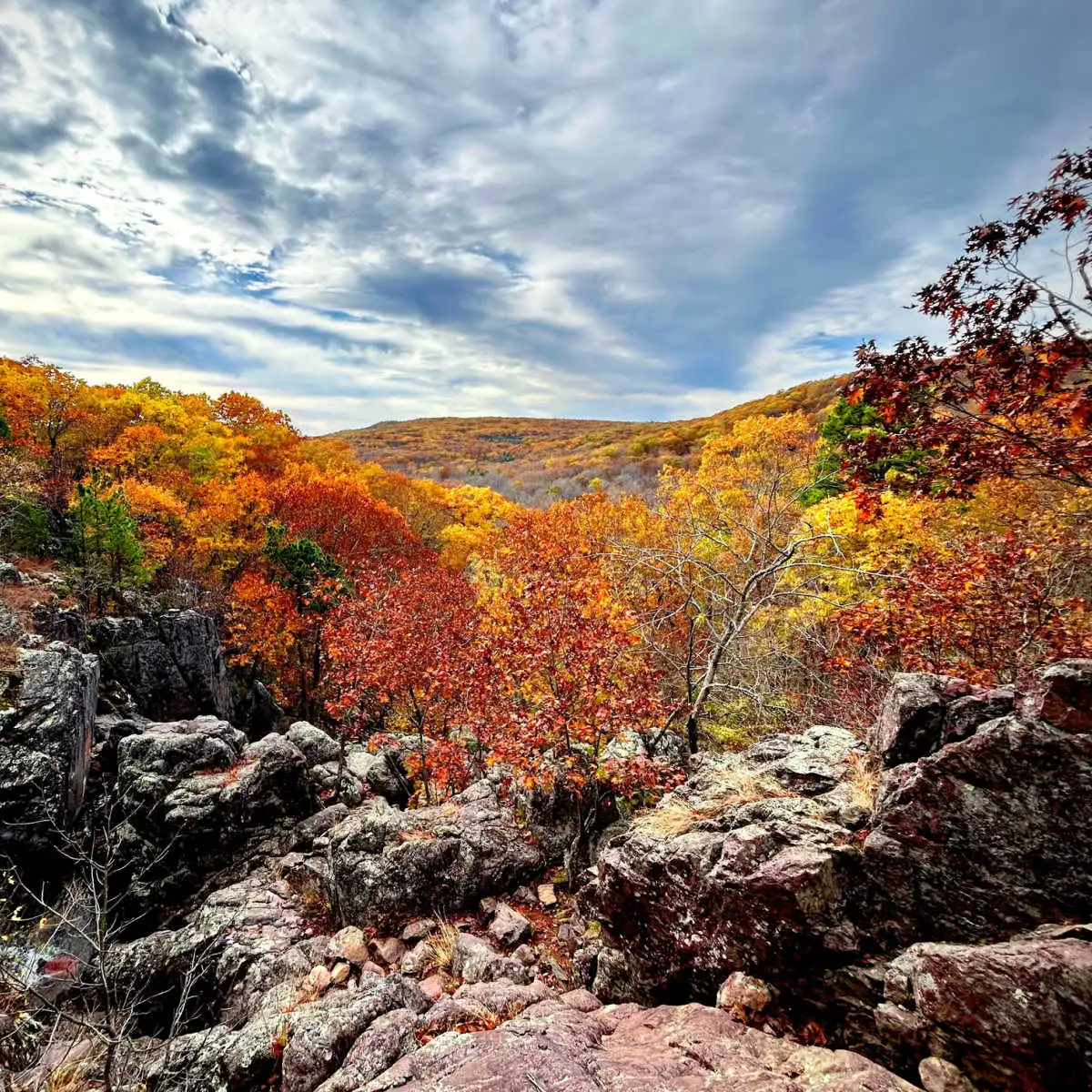 Fall foliage in Mark Twain National Forest in Missouri