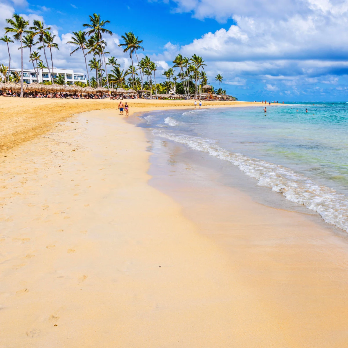 Golden sandy beach in Punta Cana, D.R.