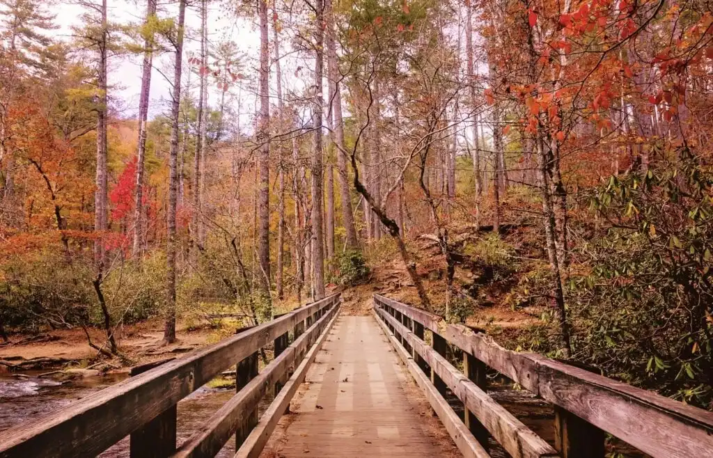 Great Smoky Mountains National Park, NCTN