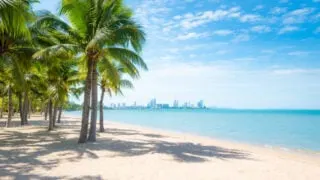Coconut trees on beach in Pattaya, Thailand