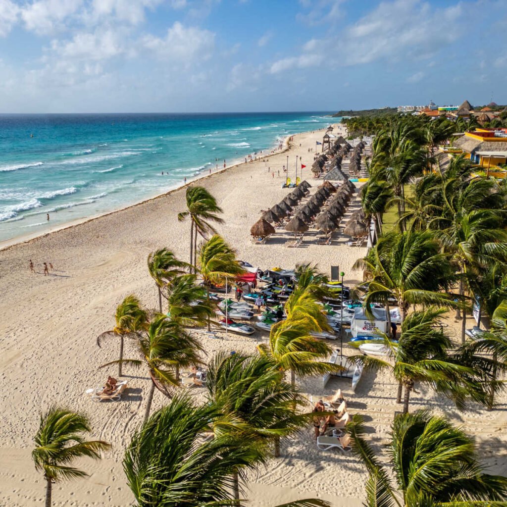 Palm trees lining Playa del Carmen beach
