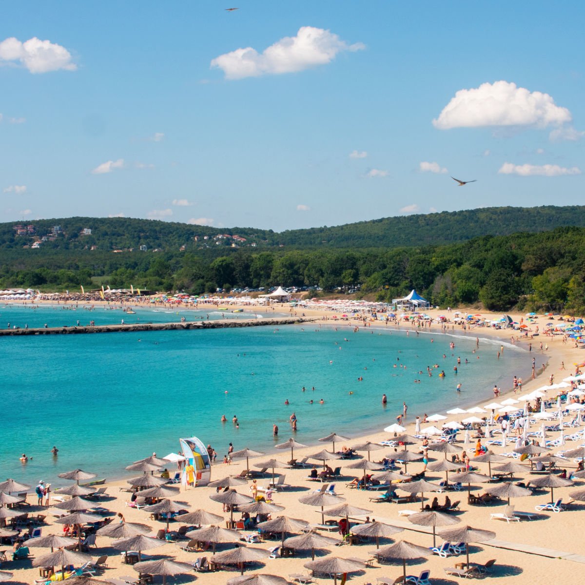 Parasols on vibrant Promorsko, Bulgaria beach