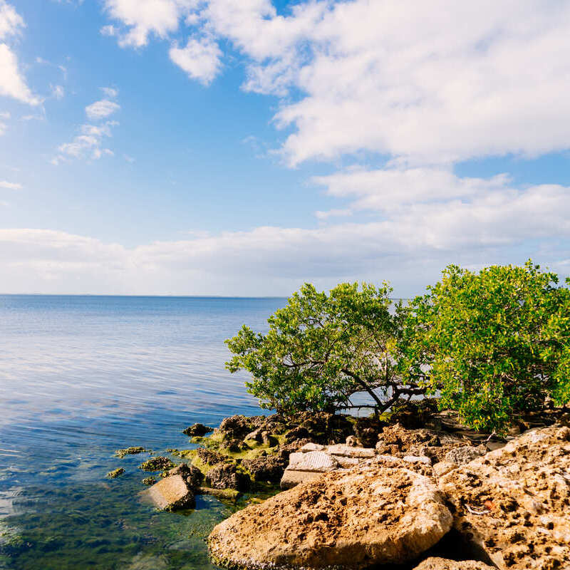 Scenic Waterfront In Punta Gorda, Florida