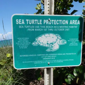 Sea turtle nesting sign - Vero Beach, FL