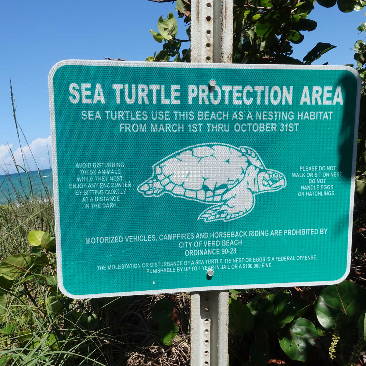 Sea turtle nesting sign - Vero Beach, FL