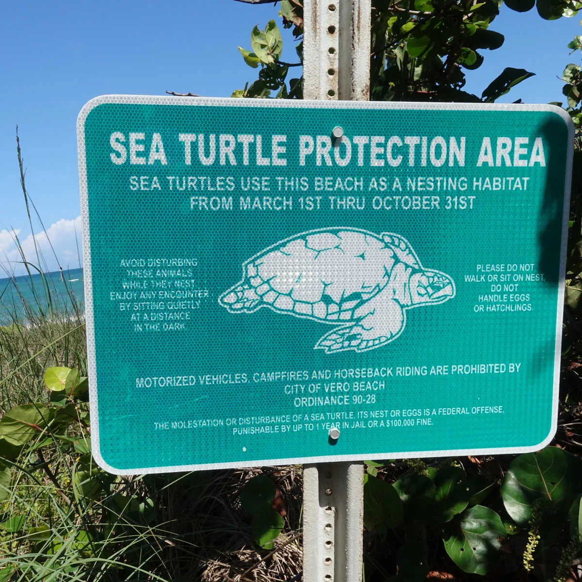 Sea turtle nesting sign - Vero Beach, FL