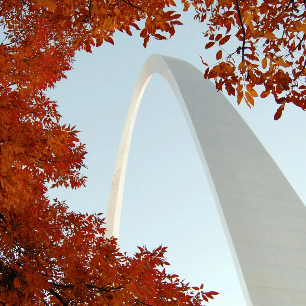 St. Louis Arch in fall