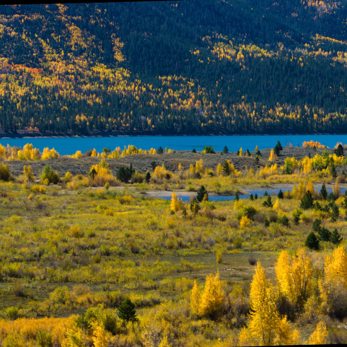 Twin Lakes, CO golden foliage in fall