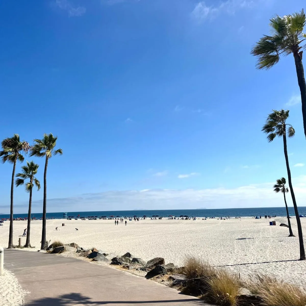 White sand beach in Coronado, California