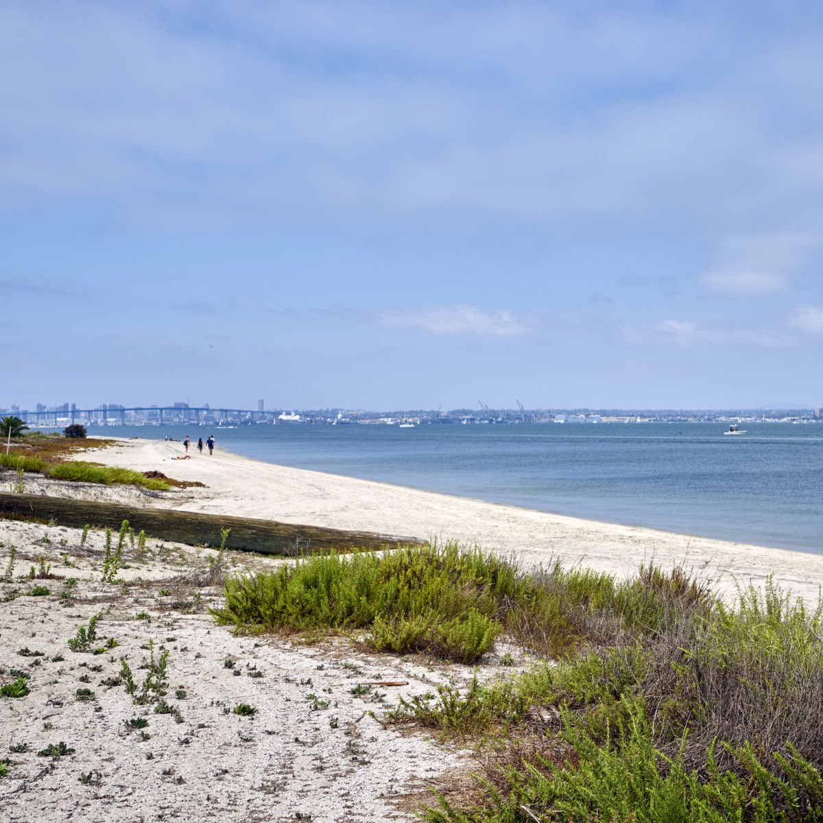 San Diego's White-Sand Paradise: Discover New Hotels & Vintage Charm This Summer White sand beach on Coronado's Silver Strand