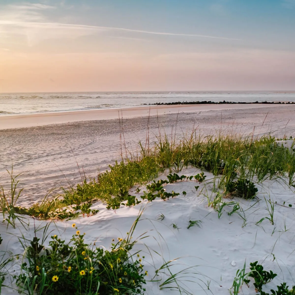 White sand dunes in Vilano Beach, FL