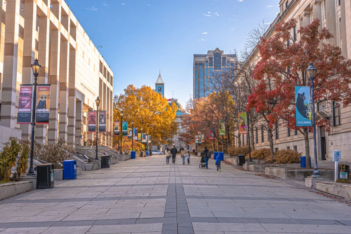 Fall colors in Raleigh, NC