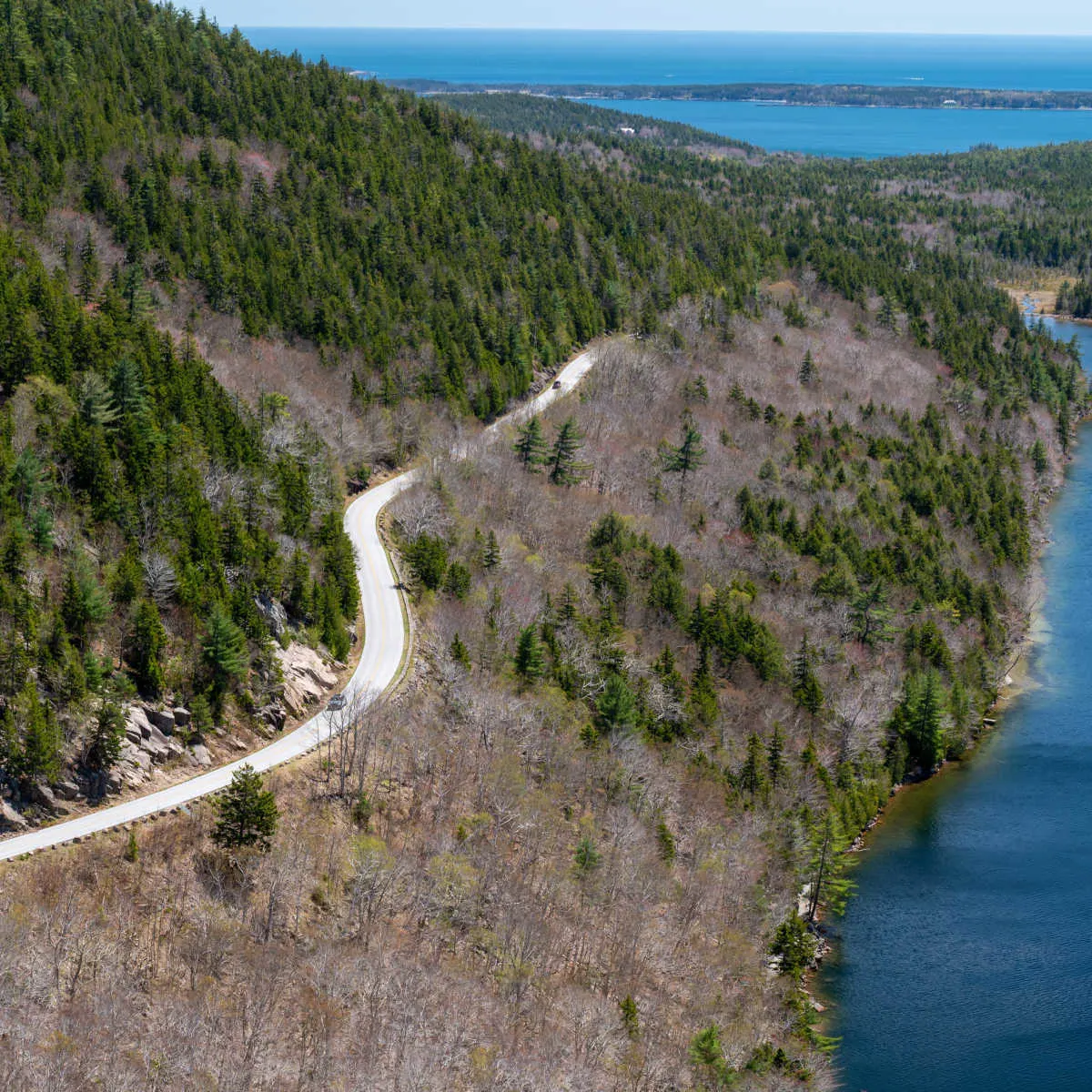 Winding road in Acadia National Park