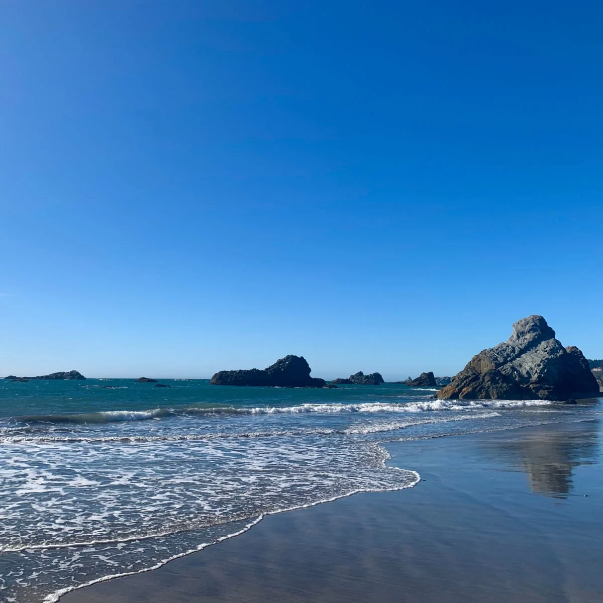 Beach in Brookings, Oregon