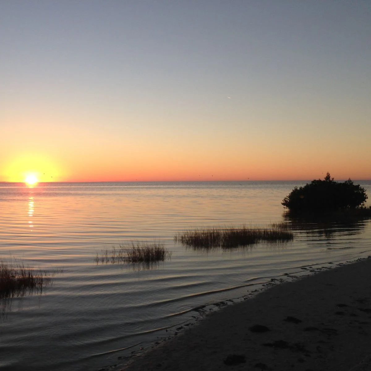 Beachside sunset in Port Richey, FL