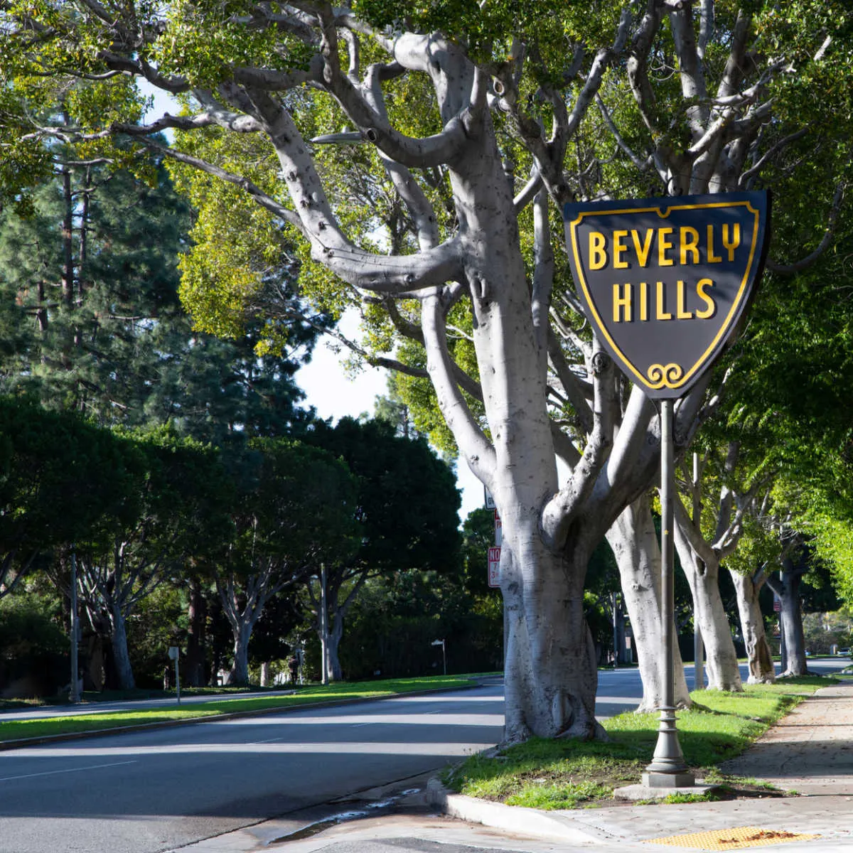 Beverly Hills sign in ritzy neighborhood
