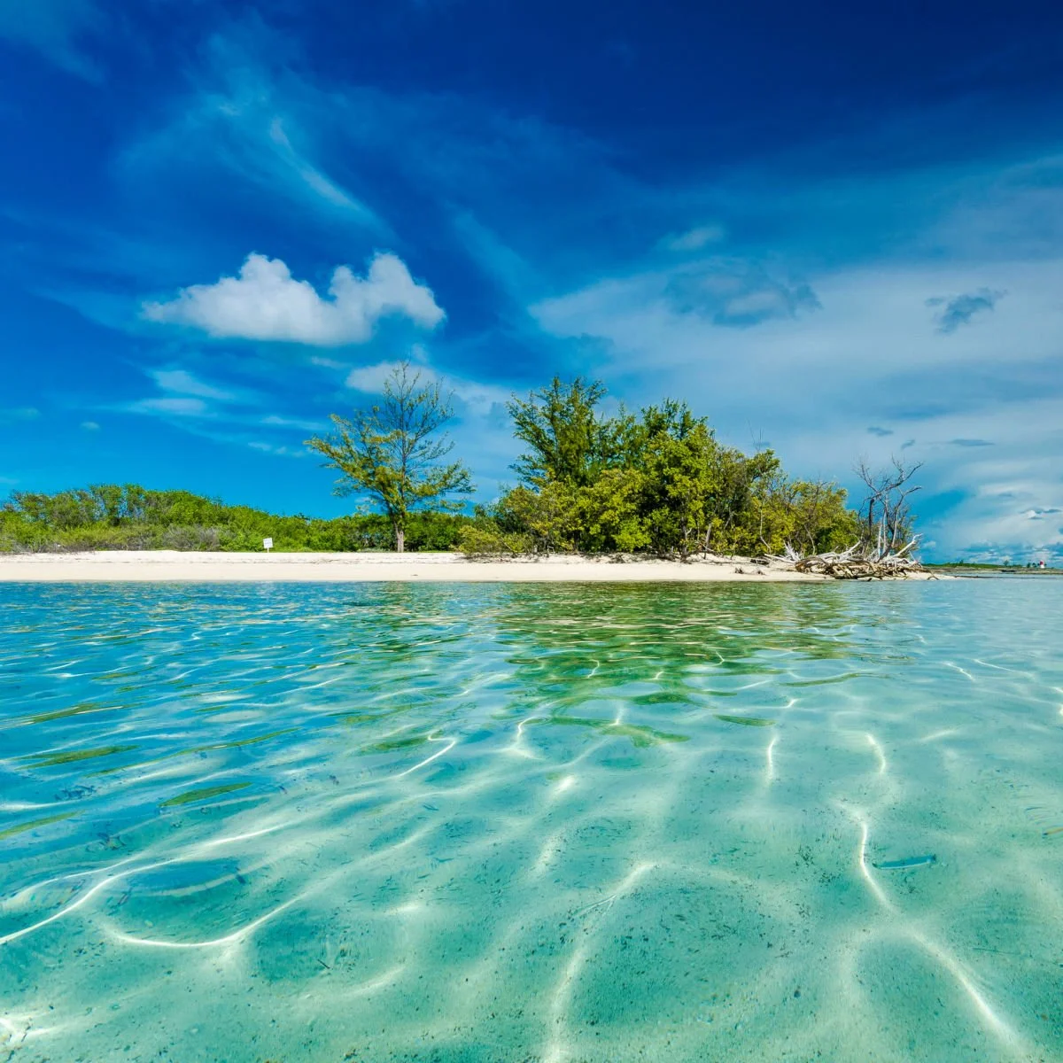 Clear waters and white-sand beach in Bimini