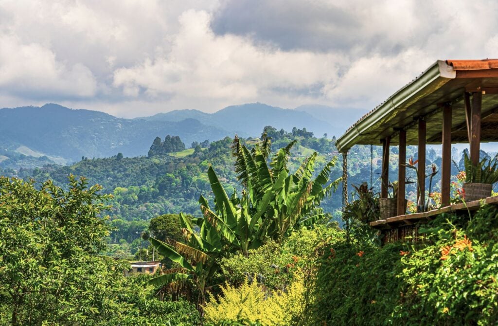Colombia Coffee Farm