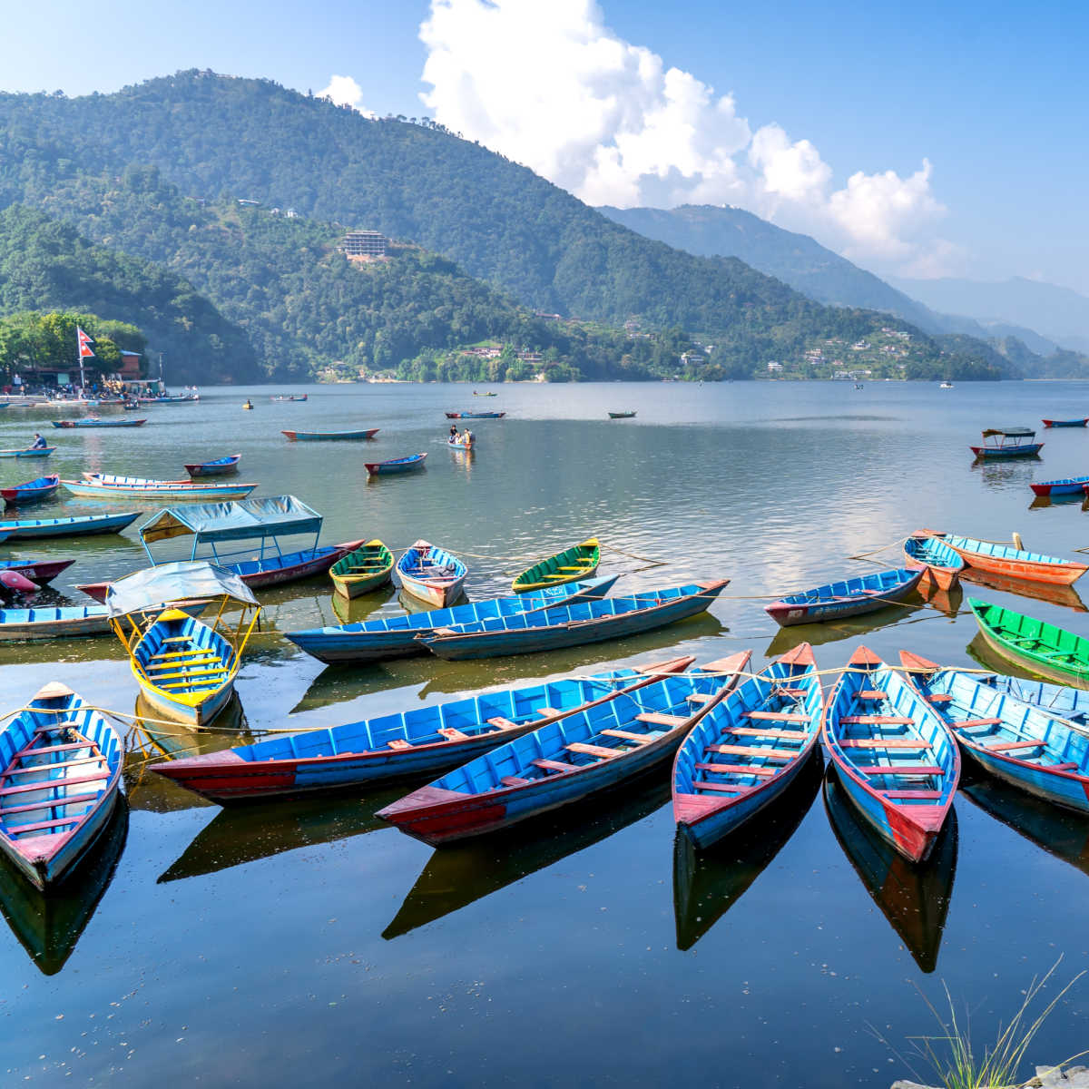 Colorful boats on Lake Phewa in Nepal