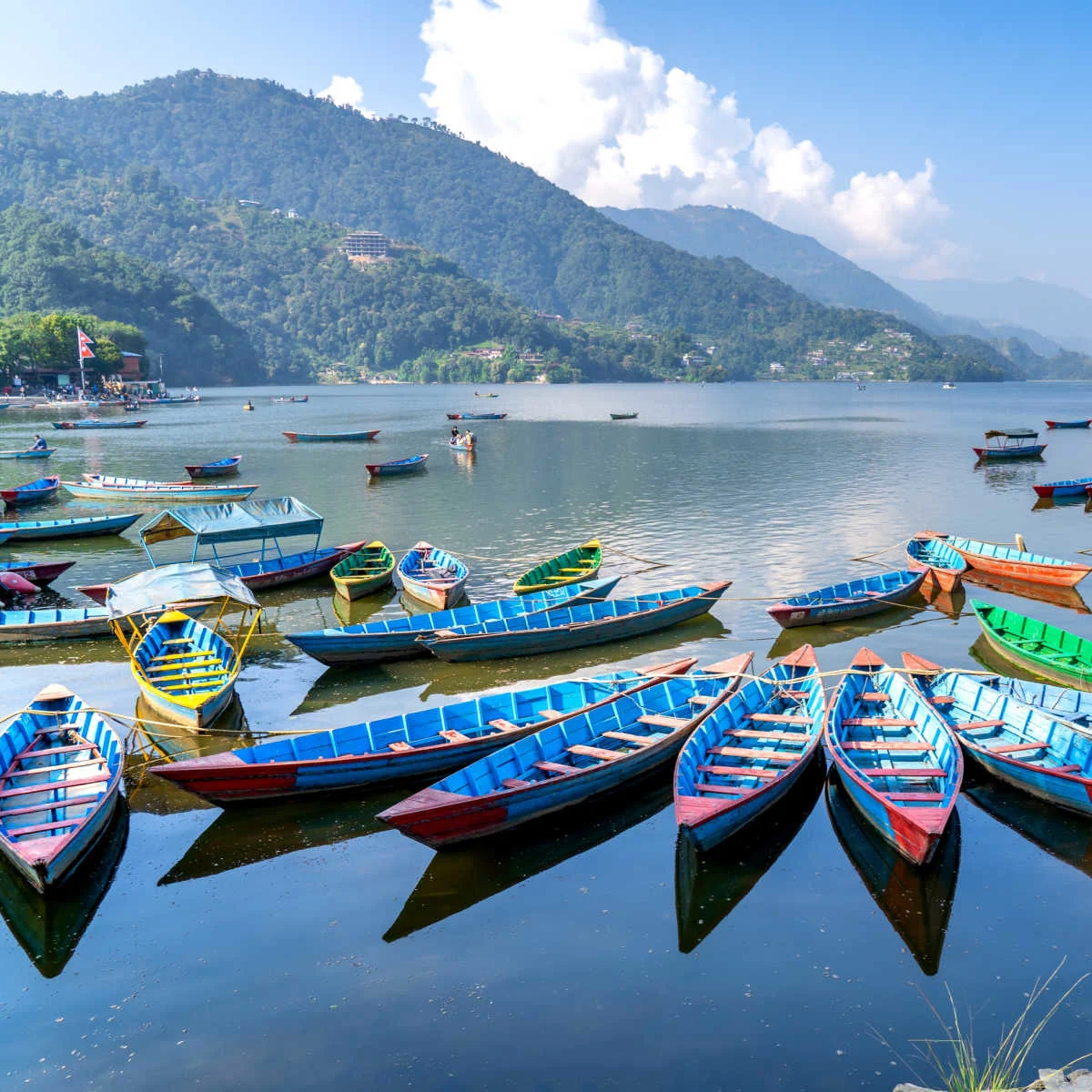Colorful boats on Lake Phewa in Nepal