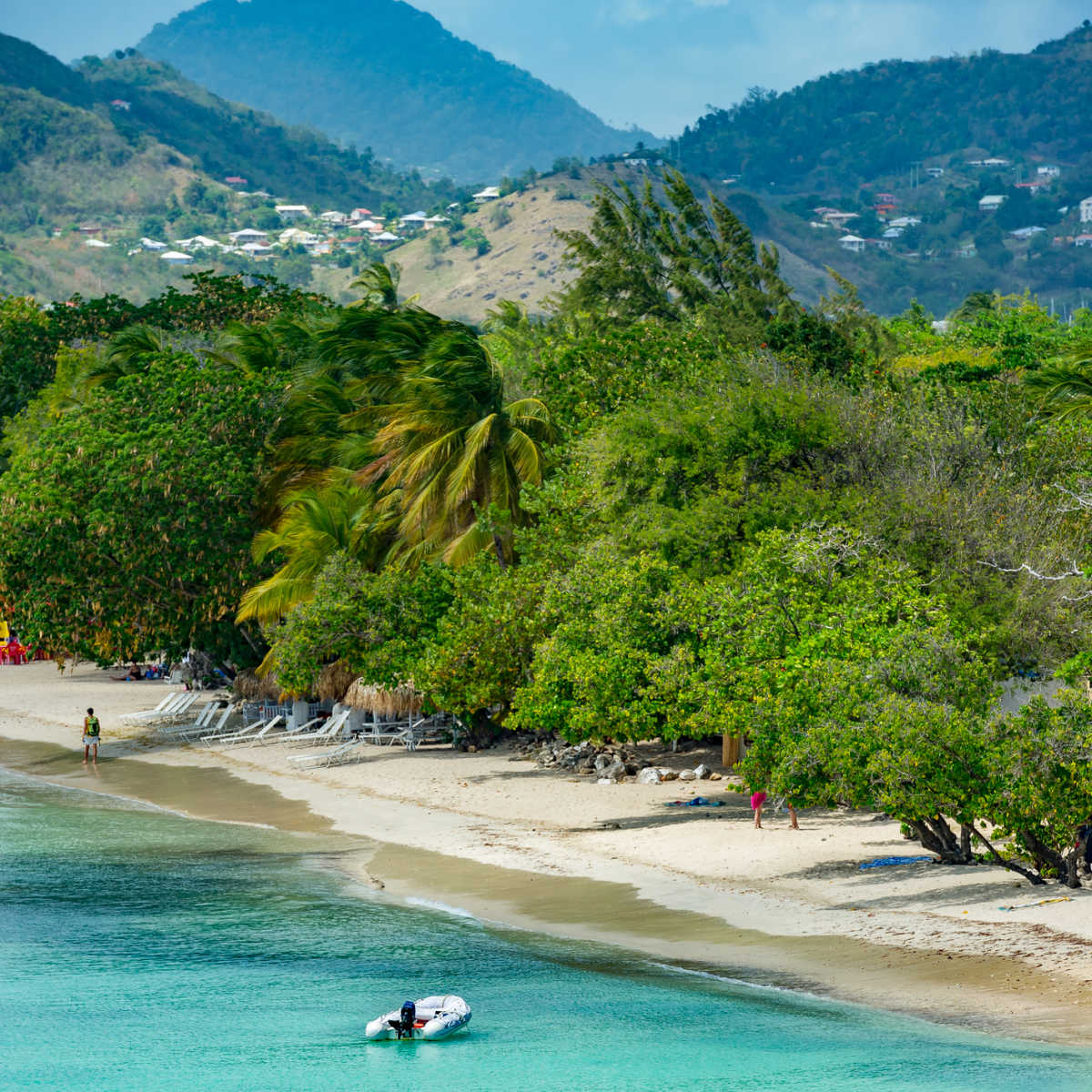Plage sans Martin à l'arrière de la nature luxuriante