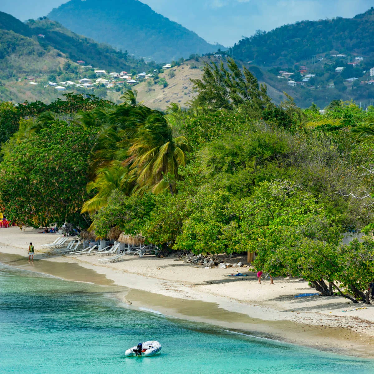 Crowd-free beach in Martinique backdropped by lush nature