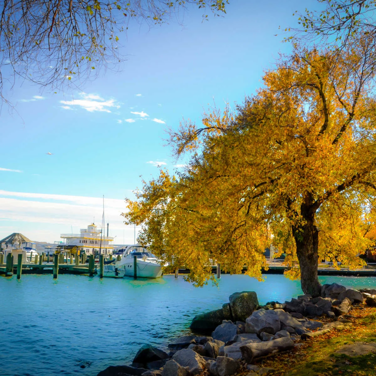 Fall foliage on Potomac River in Virginia