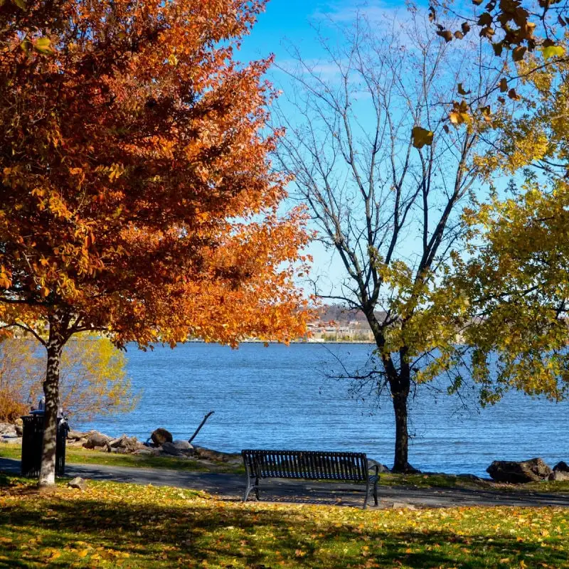 Fall foliage on Potomac River