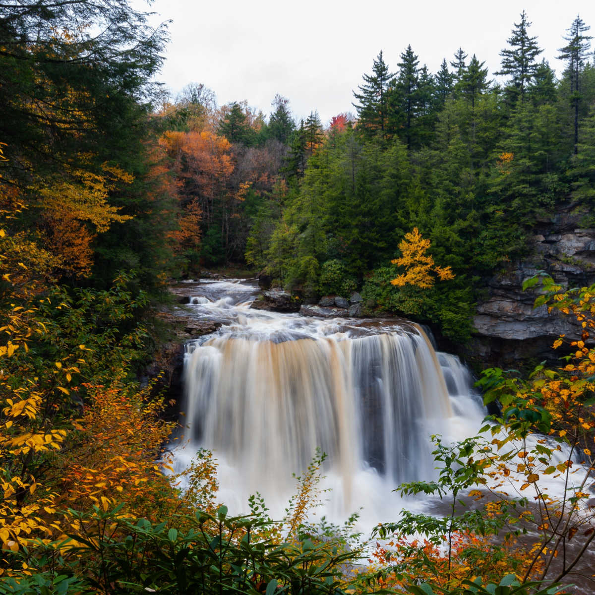 Falls views of waterfall at Blackwater Falls State Park