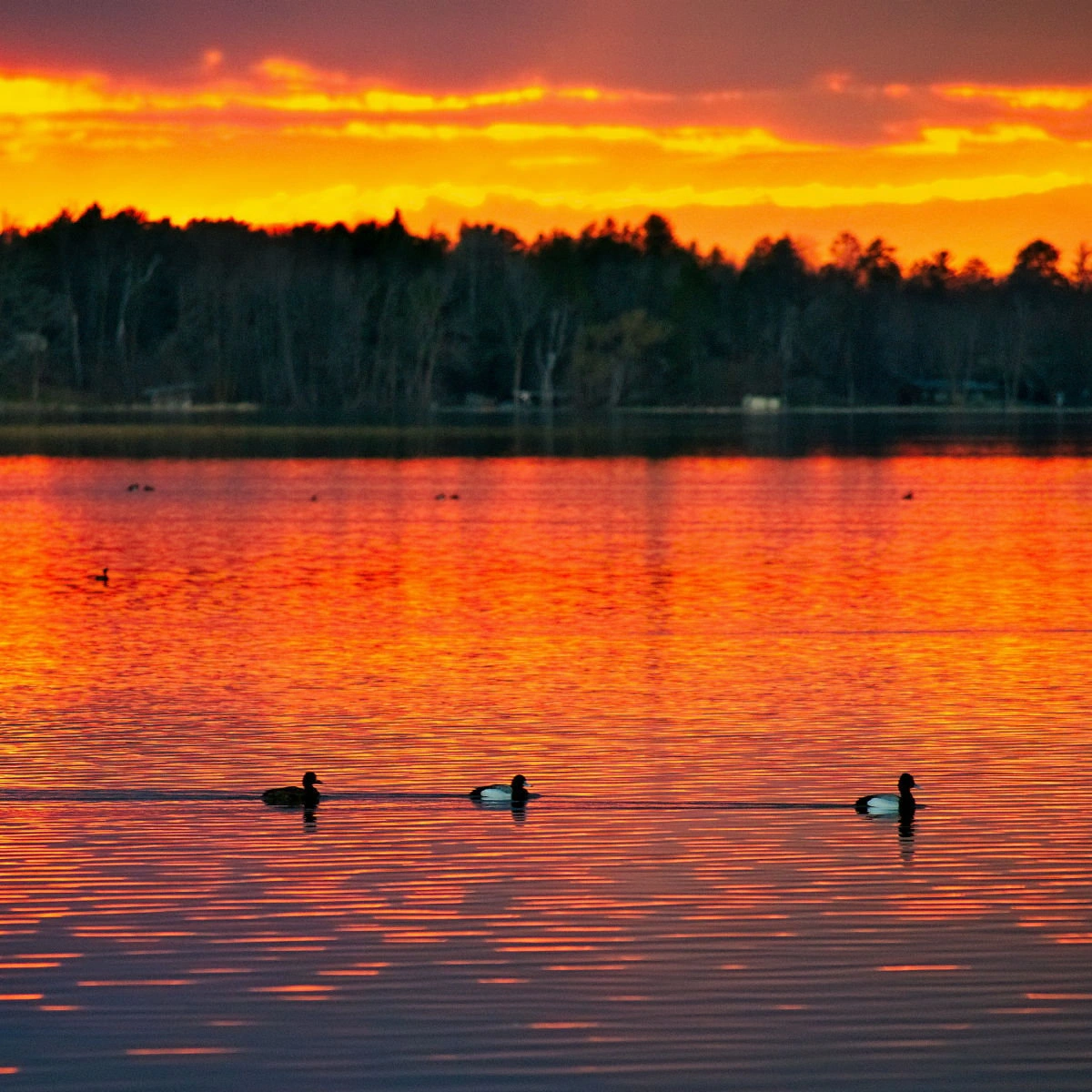 Fiery sunset over Lake Bemidji