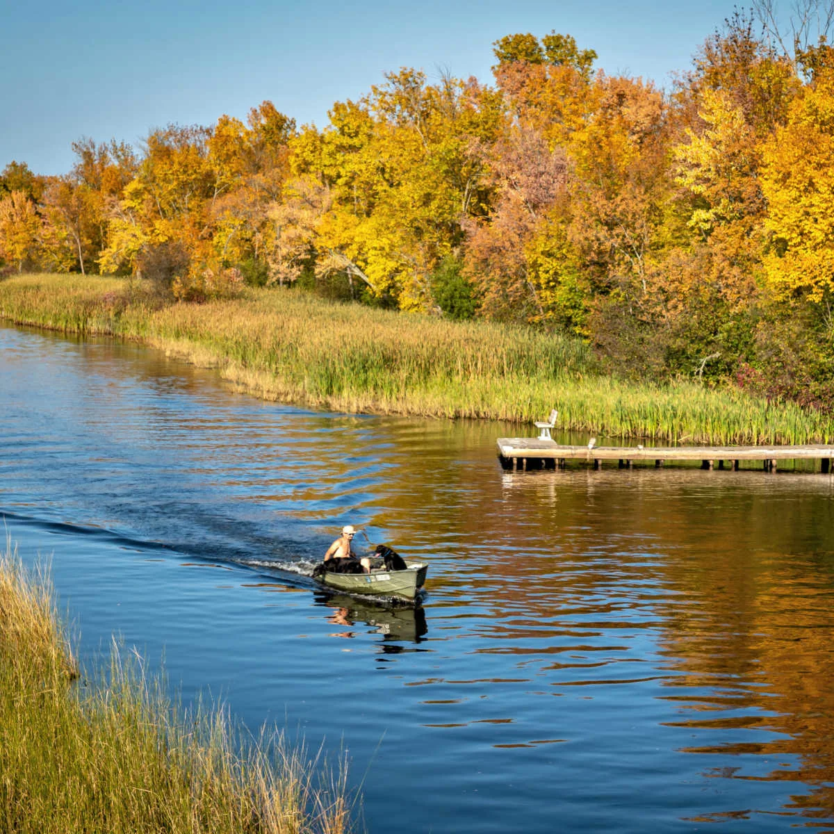 Foliage lined river in Bemidji, MN