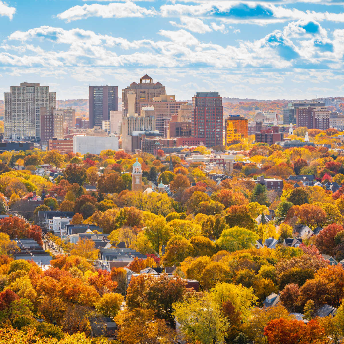 New Haven skyline during fall