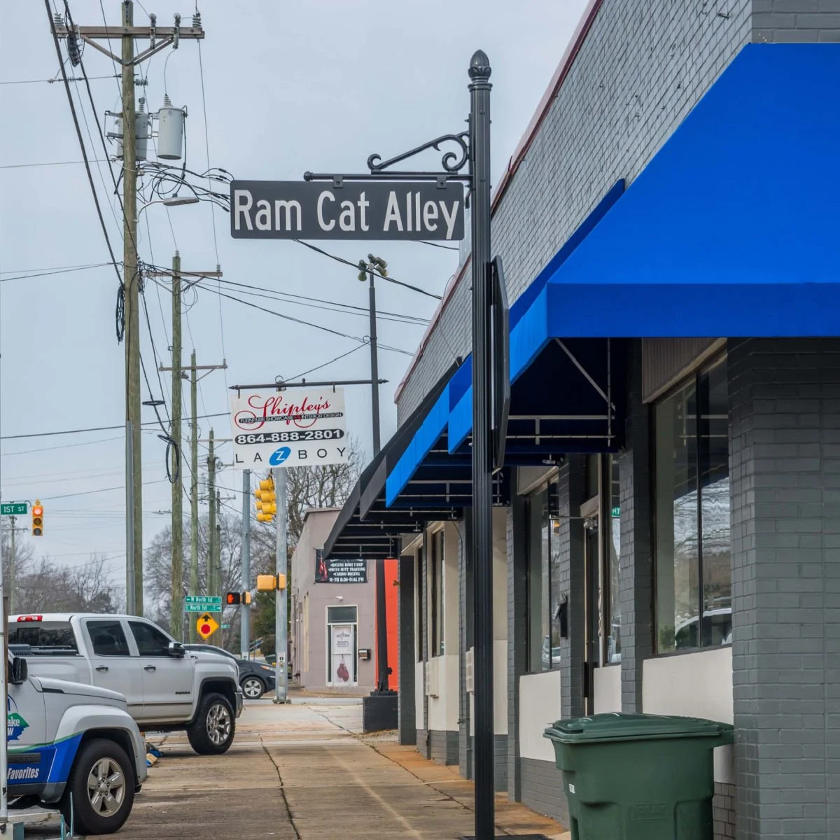 Ram Cat Alley sign - Seneca, SC