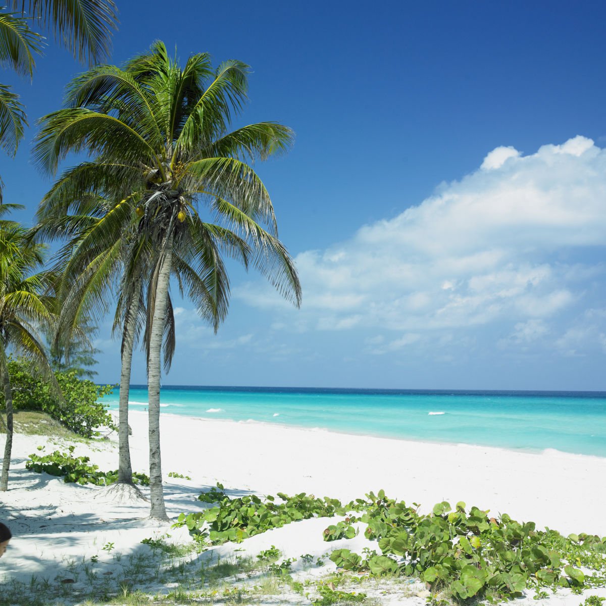White sand beach in Varadero, Cuba