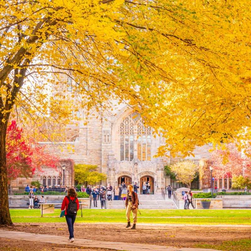 Yale campus in fall