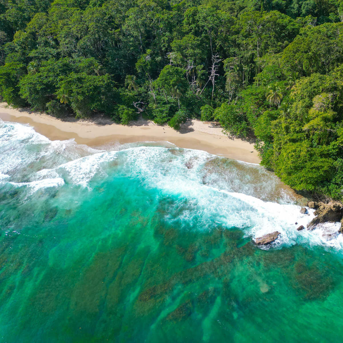 Aerial view of crashing waves in Limon, Costa Rica