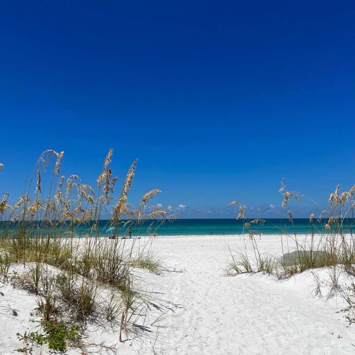 Crowd-free beach in Bradenton, FL