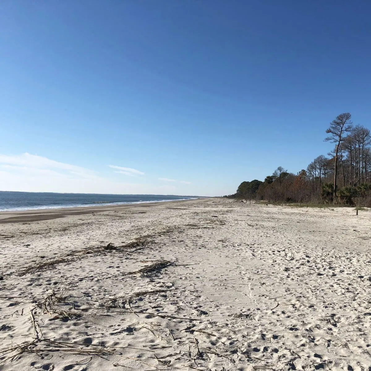 Crowd-free beach in Daufuskie Island, SC