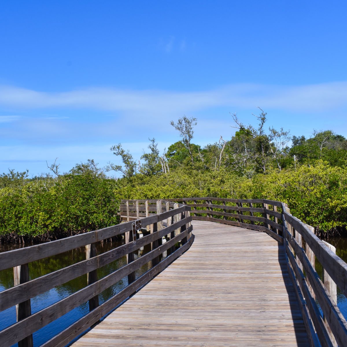 Emerson Point Preserve in Palmetto, FL